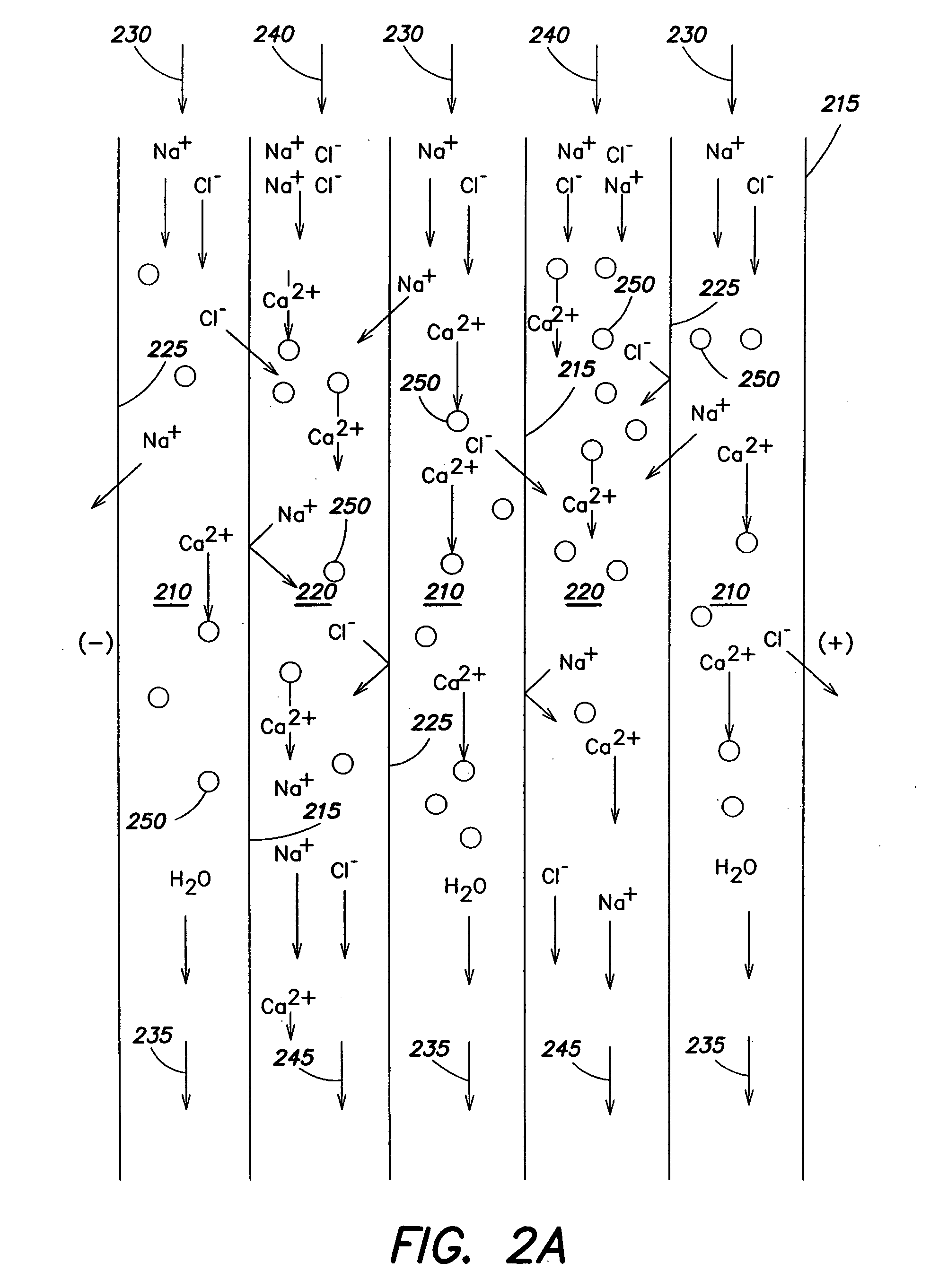 Regeneration of adsorption media within electrical purification apparatuses