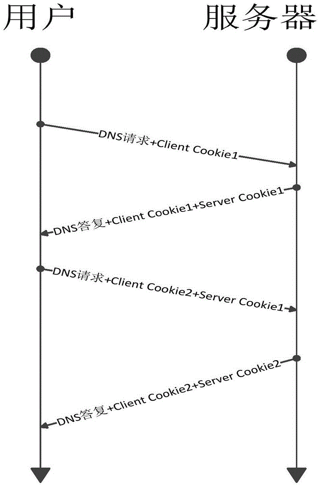 Solution for coping with reflection amplification attacks of domain name system (DNS) server