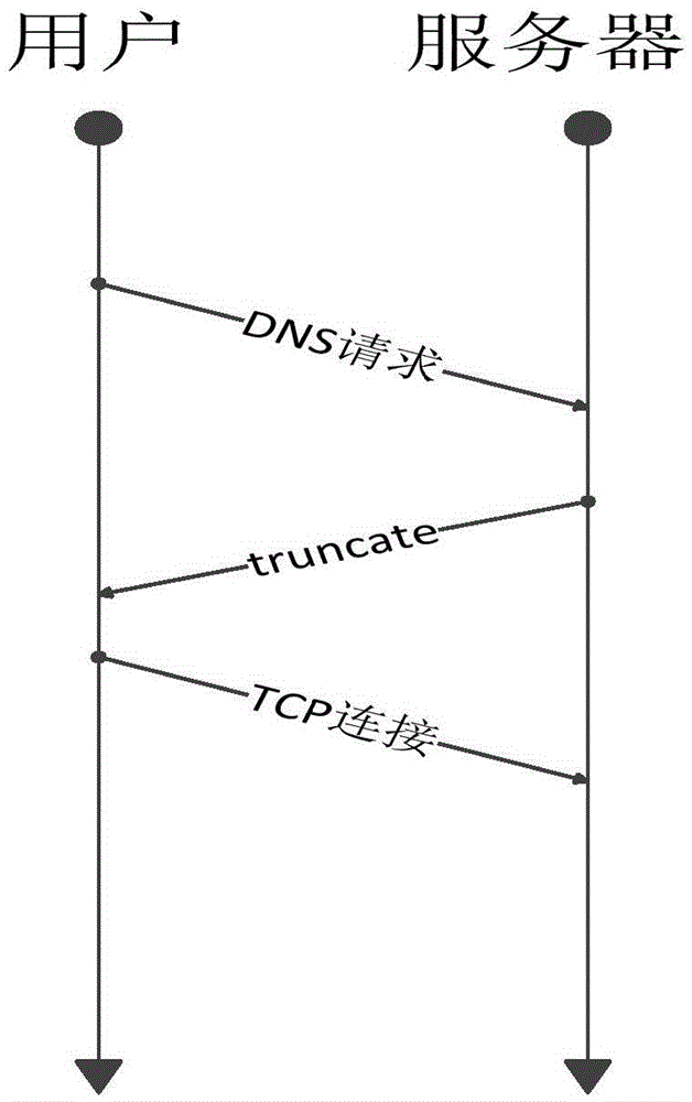 Solution for coping with reflection amplification attacks of domain name system (DNS) server