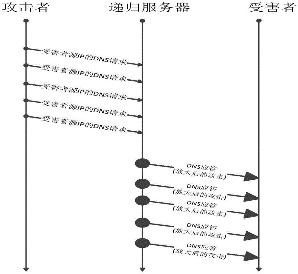 Solution for coping with reflection amplification attacks of domain name system (DNS) server