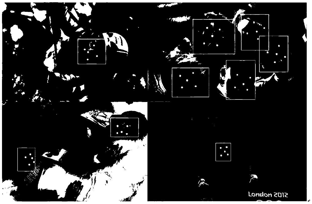 A face detection method