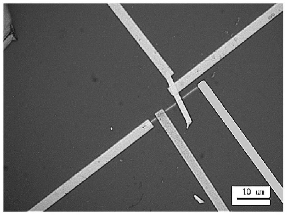 Junction field effect transistor based on tungsten disulfide/gallium antimonide and preparation method thereof