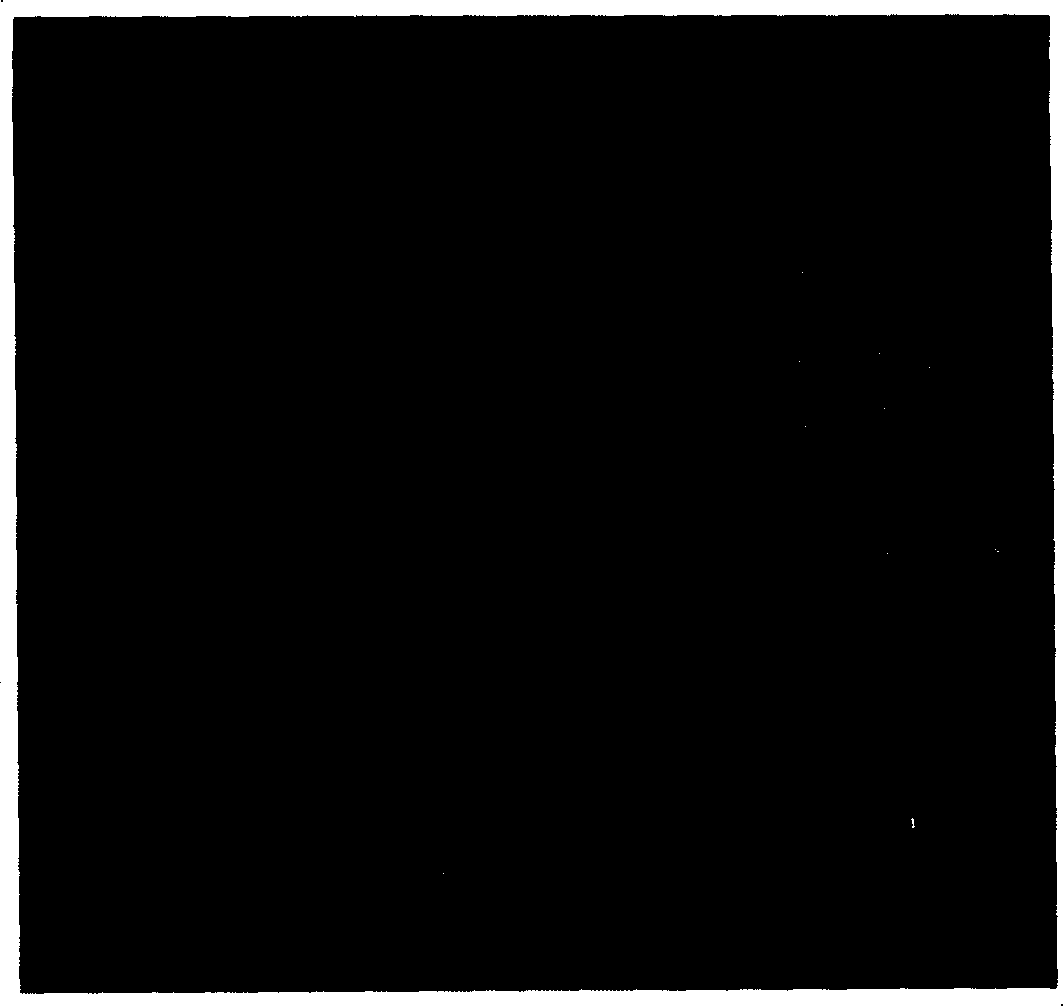 Plasticity enhancement massive metal glass material and preparation method thereof