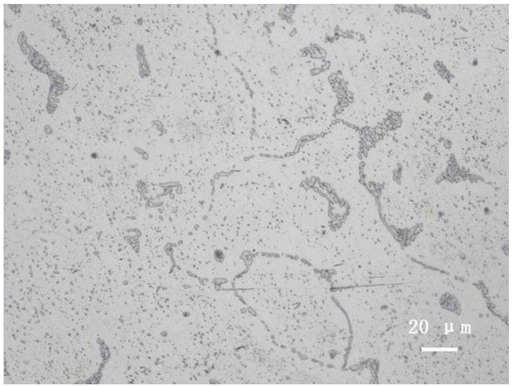 A superalloy cast pipe material for a 700°C ultra-supercritical thermal power unit reheater and its preparation method