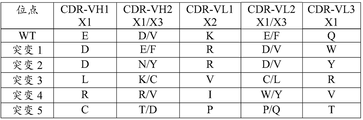 Binding protein of NS1 protein