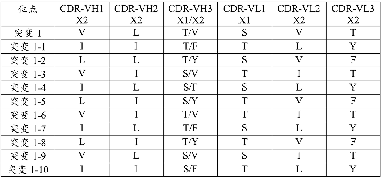 Binding protein of NS1 protein