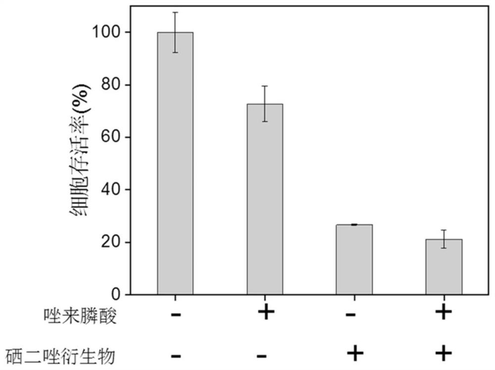 Application of combination of zoledronic acid and organic selenium compound in the preparation of antitumor drugs