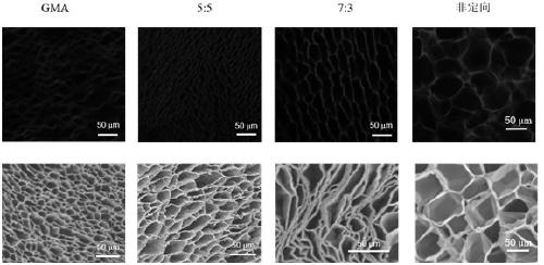 Alkoxyether dendrimer/gelatin composite cryogel, preparation method and applications thereof