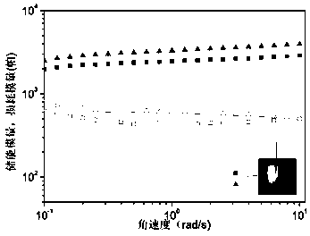 Alkoxyether dendrimer/gelatin composite cryogel, preparation method and applications thereof