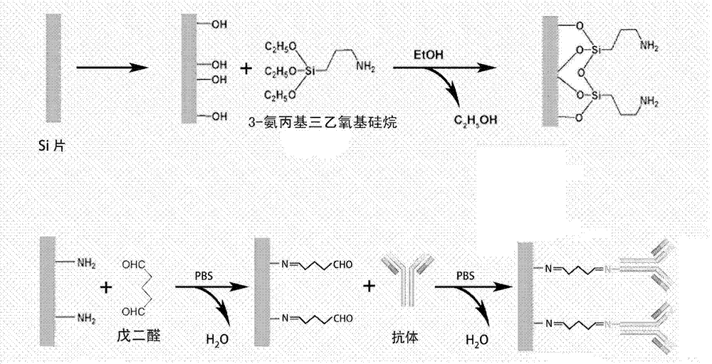 Portable sensing system for early diagnosing liver cancer and functional modification method of portable sensing system