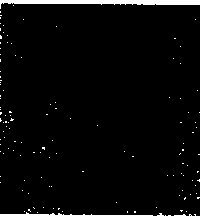 Method for preparing water-soluble nano particles