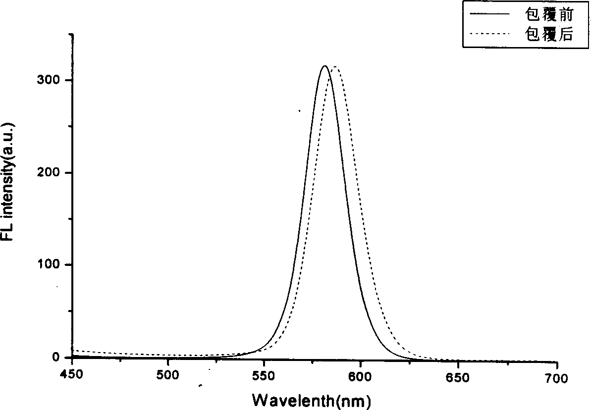 Method for preparing water-soluble nano particles