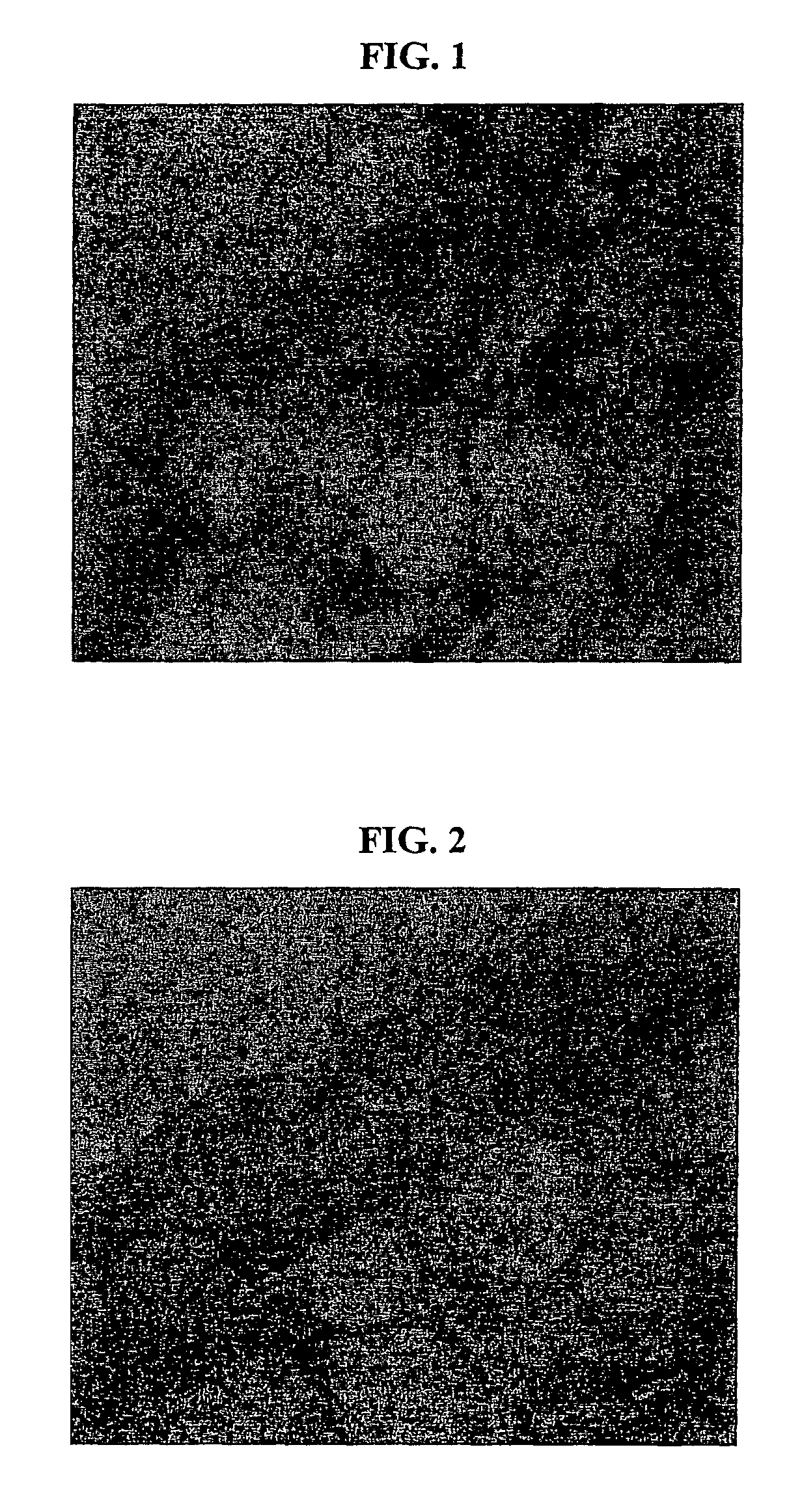 Nanoemulsion comprising metabolites of ginseng saponin as an active component and a method for preparing the same, and a skin-care composition for anti-aging containing the same