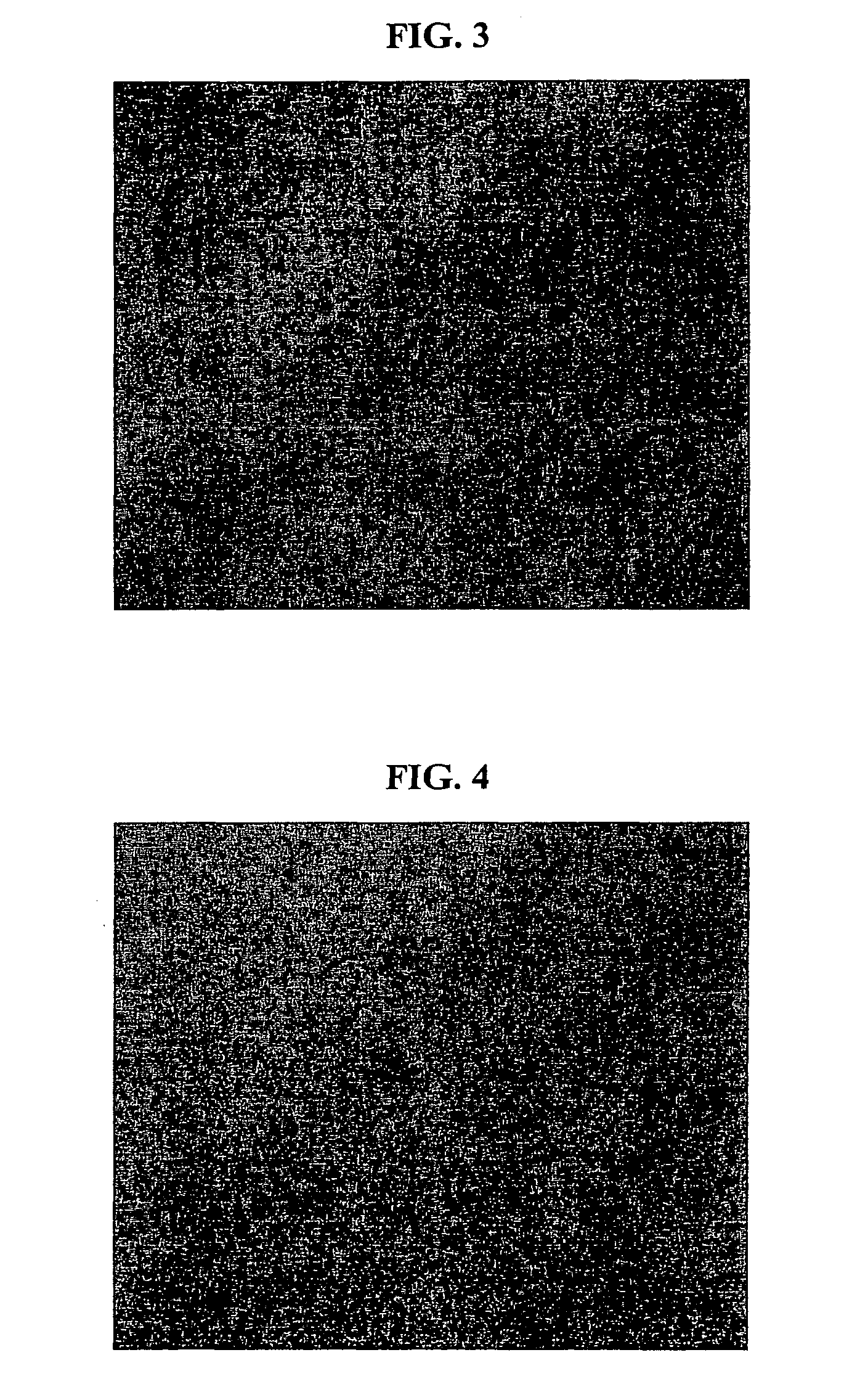 Nanoemulsion comprising metabolites of ginseng saponin as an active component and a method for preparing the same, and a skin-care composition for anti-aging containing the same