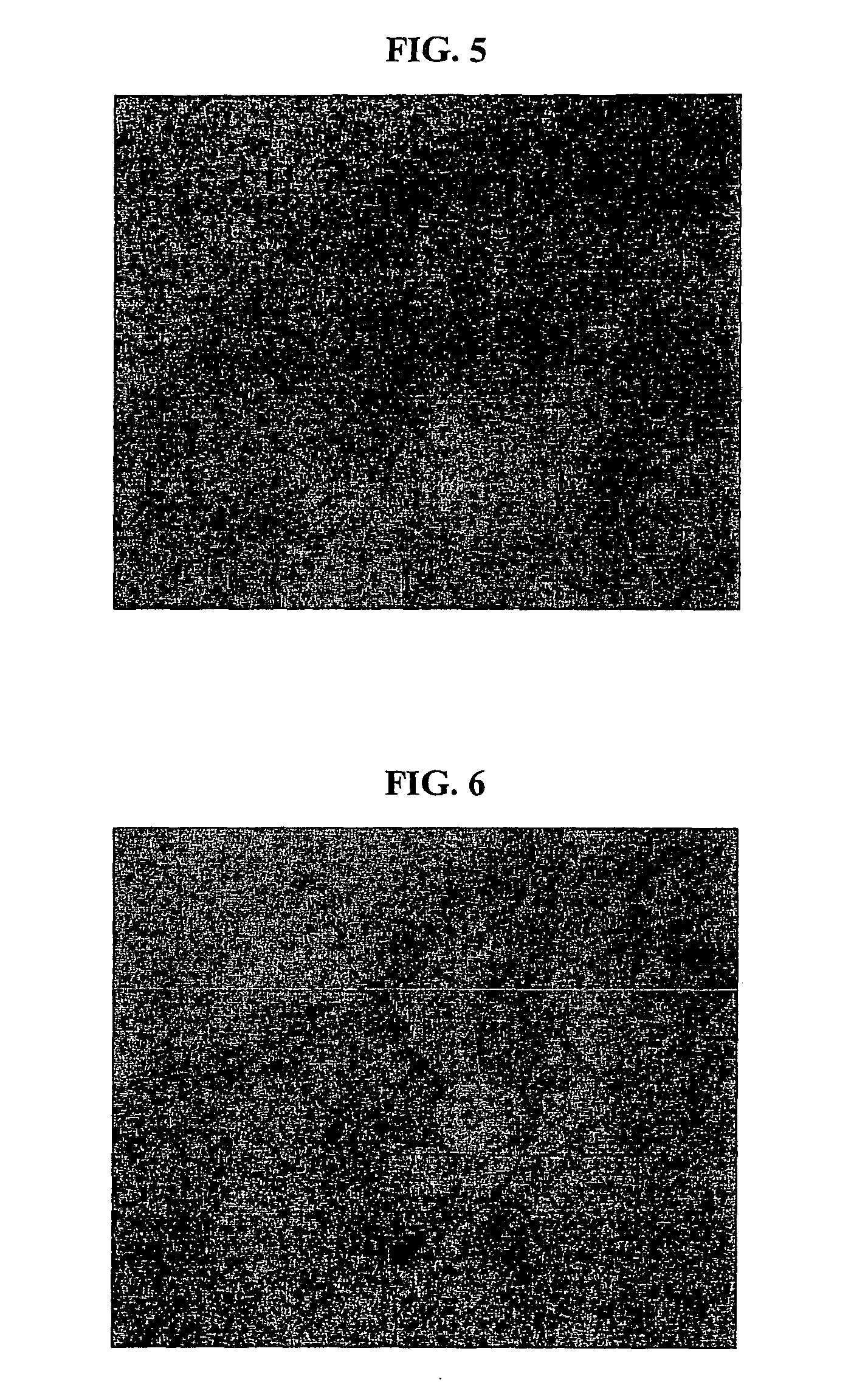 Nanoemulsion comprising metabolites of ginseng saponin as an active component and a method for preparing the same, and a skin-care composition for anti-aging containing the same