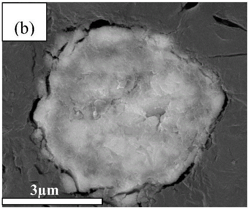 Anode active material, preparation method of anode active material, high-performance anode slurry containing anode active material, and all-solid-state lithium ion battery