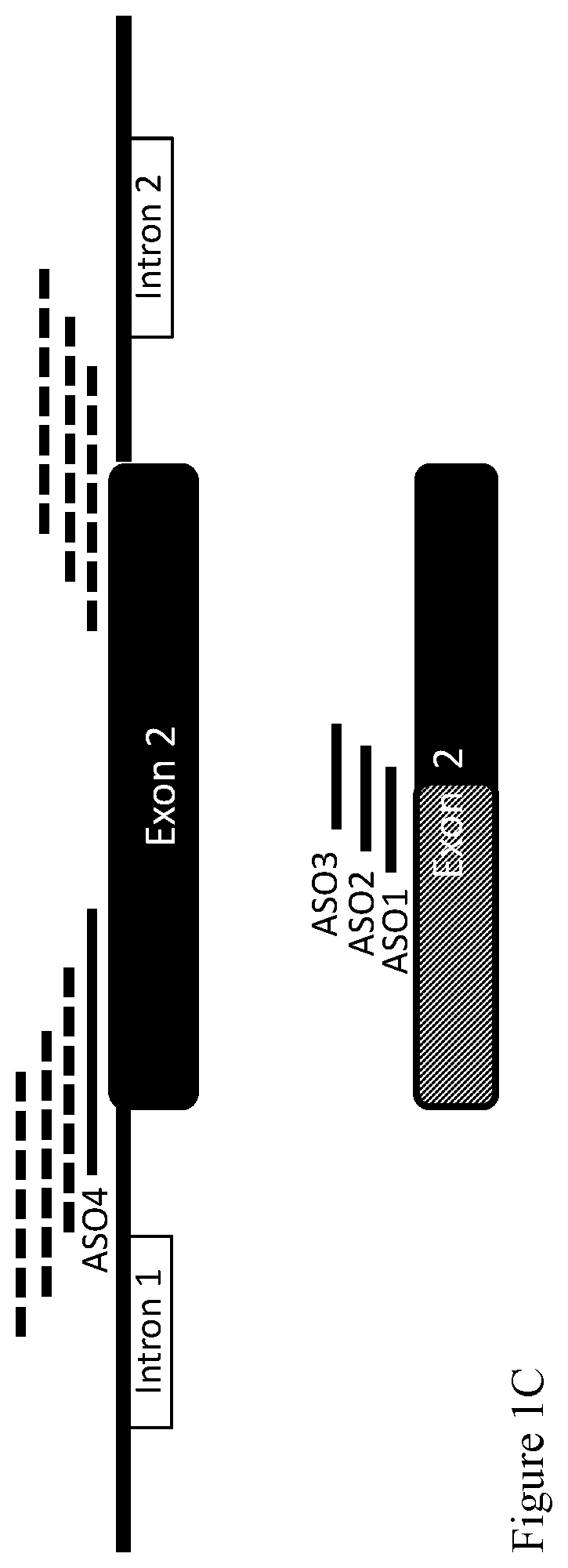 Nucleic acid agents modulating slamf6 isoforms