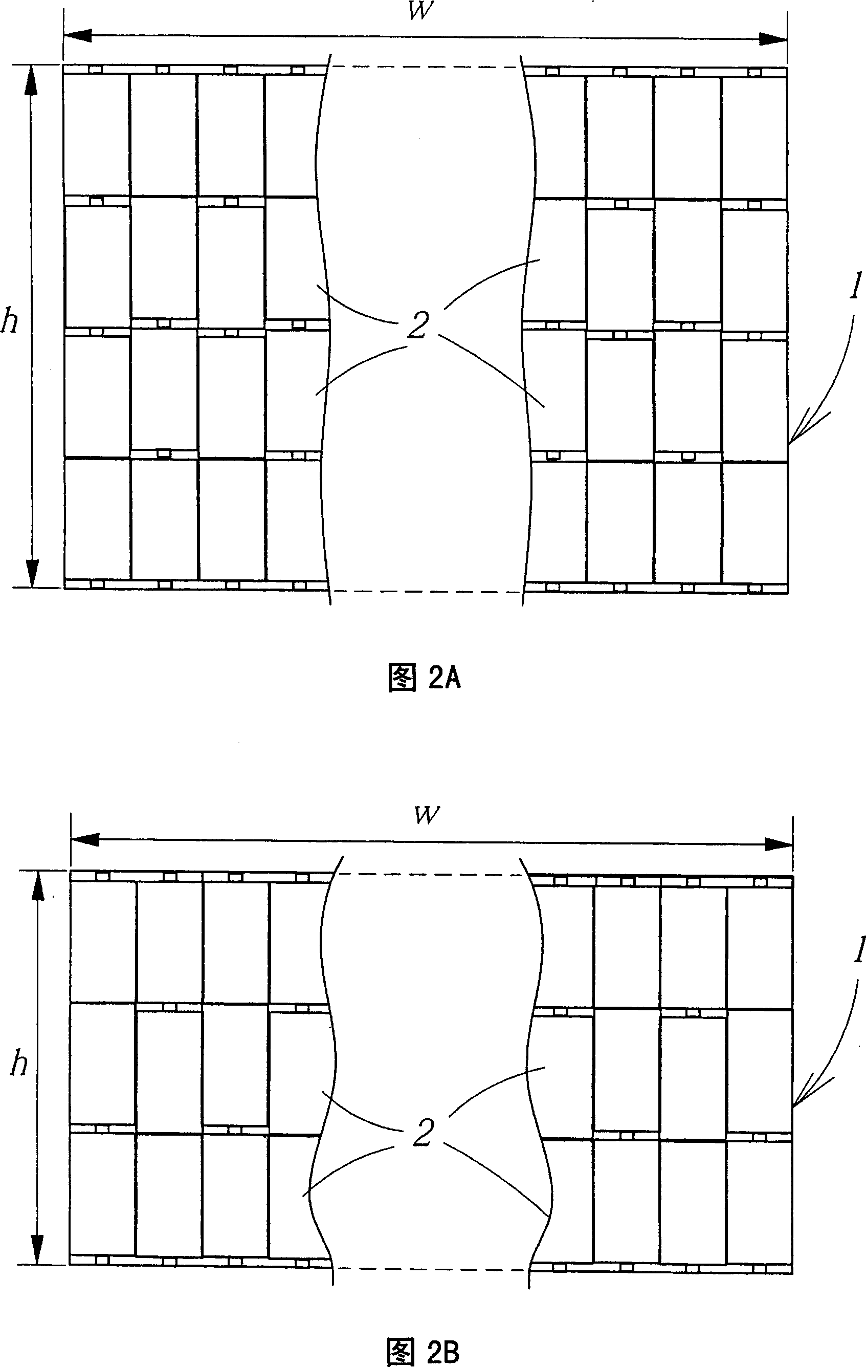 Process for culturing Brazilian mushroom