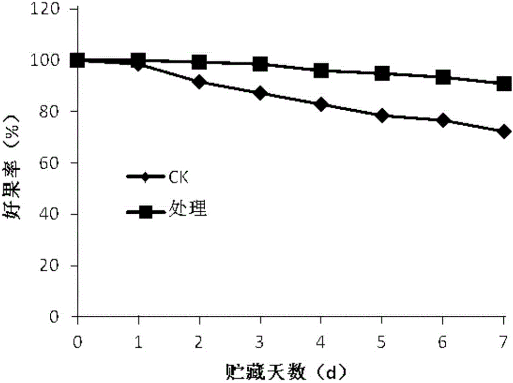 Electrical business logistics freshness retaining method for blueberries