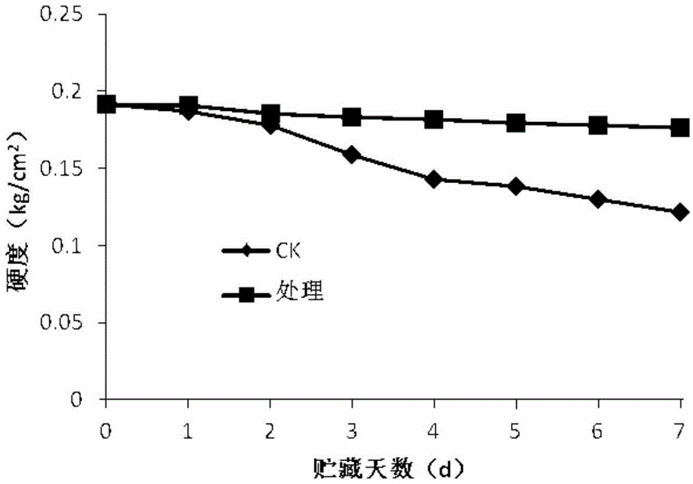 Electrical business logistics freshness retaining method for blueberries