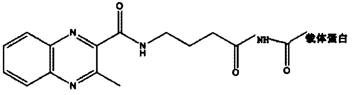 Preparation method and applications of olaquindox metabolite hapten