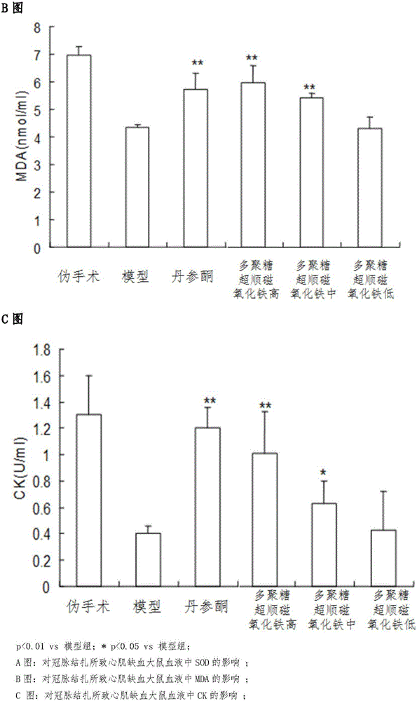 Application of glycan superpara magnetism ferric oxide to preparation of medicine for treating cardiovascular disease