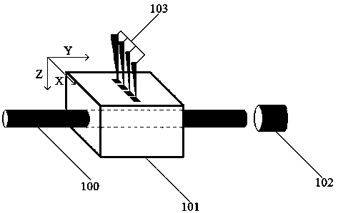 Detection device capable of integrating stimulated Brillouin scattering and optical coherent elastic imaging