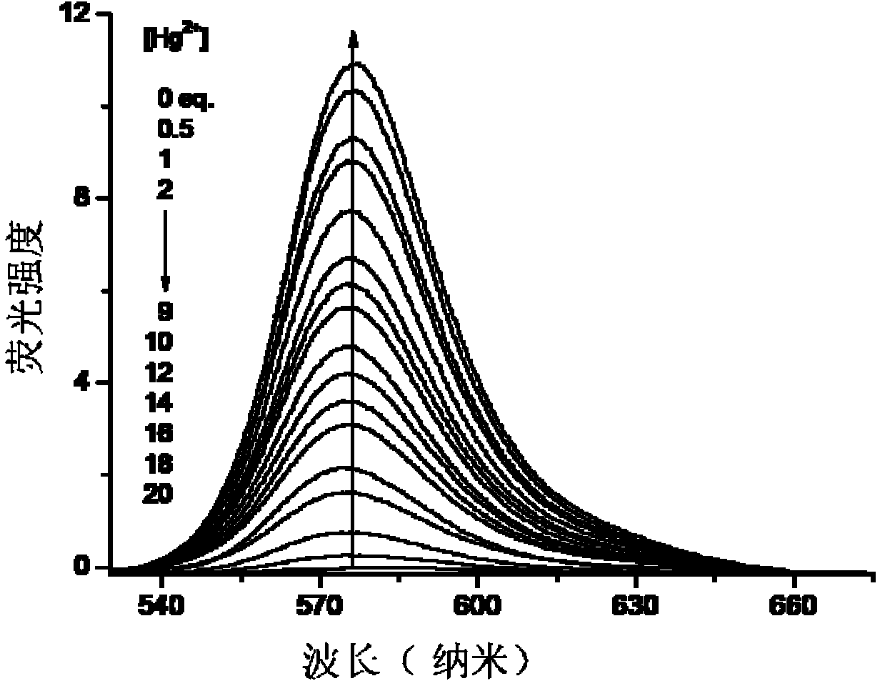 Reactive rhodamine fluorescent probe for detecting mercury ions, and preparation method thereof