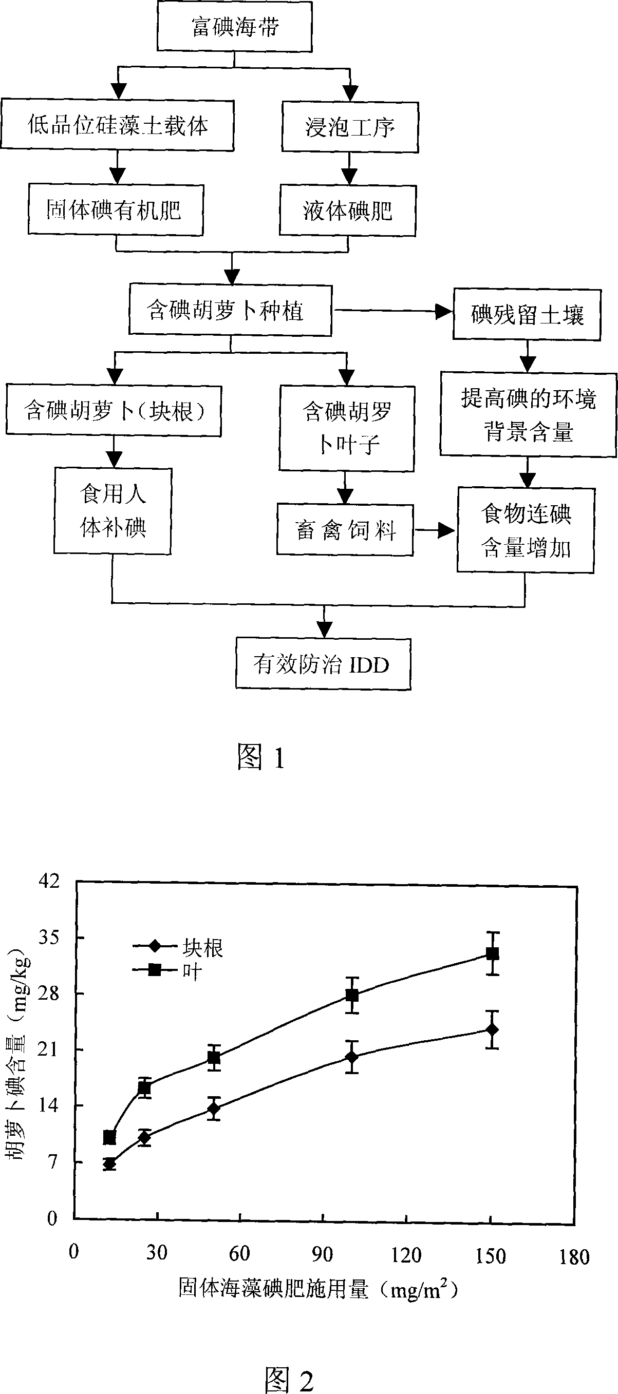 Method for planting carrot containing iodine