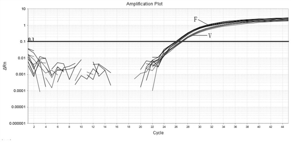 A primer set, probe set and kit for detecting high-frequency gene pathogenic variants