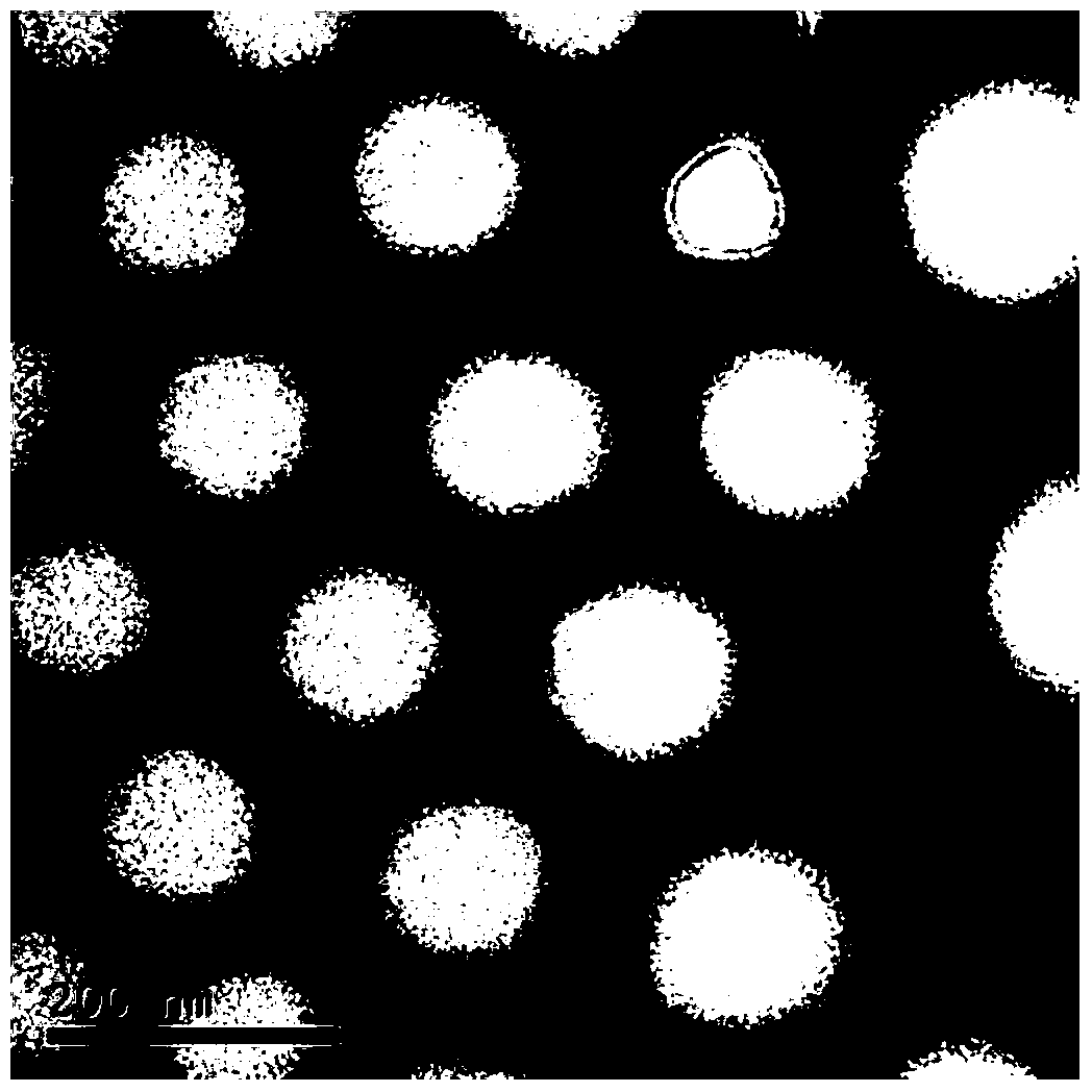 peg-plga encapsulated hemoglobin