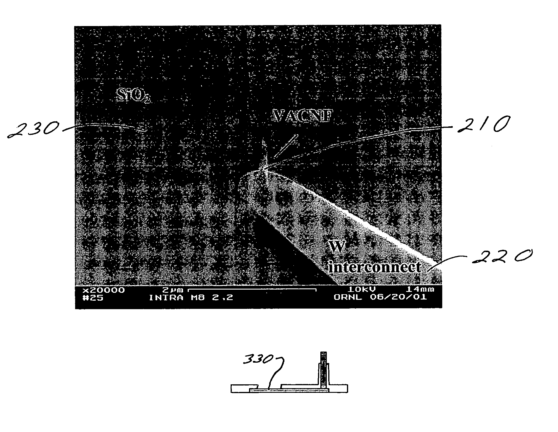 Individually electrically addressable vertically aligned carbon nanofibers on insulating substrates