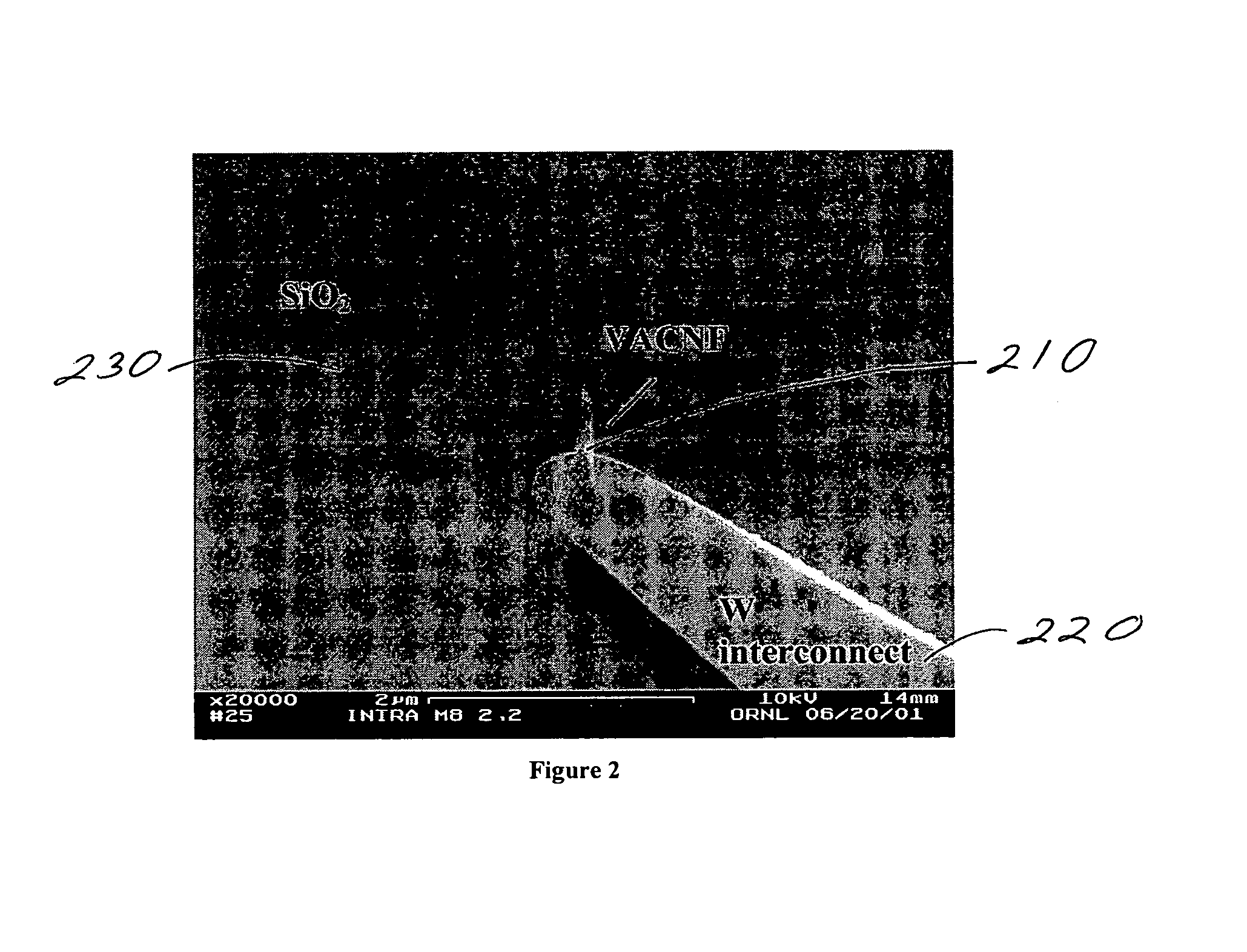 Individually electrically addressable vertically aligned carbon nanofibers on insulating substrates