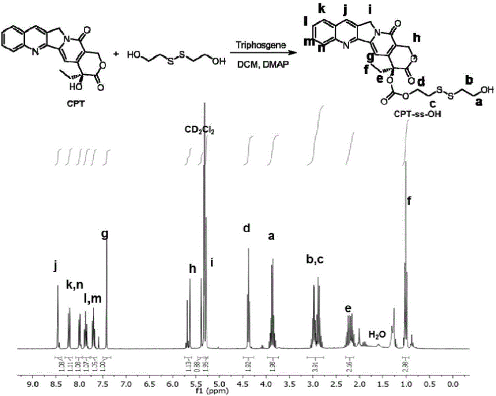 Camptothecin-adriamycin prodrug and preparation method and application thereof