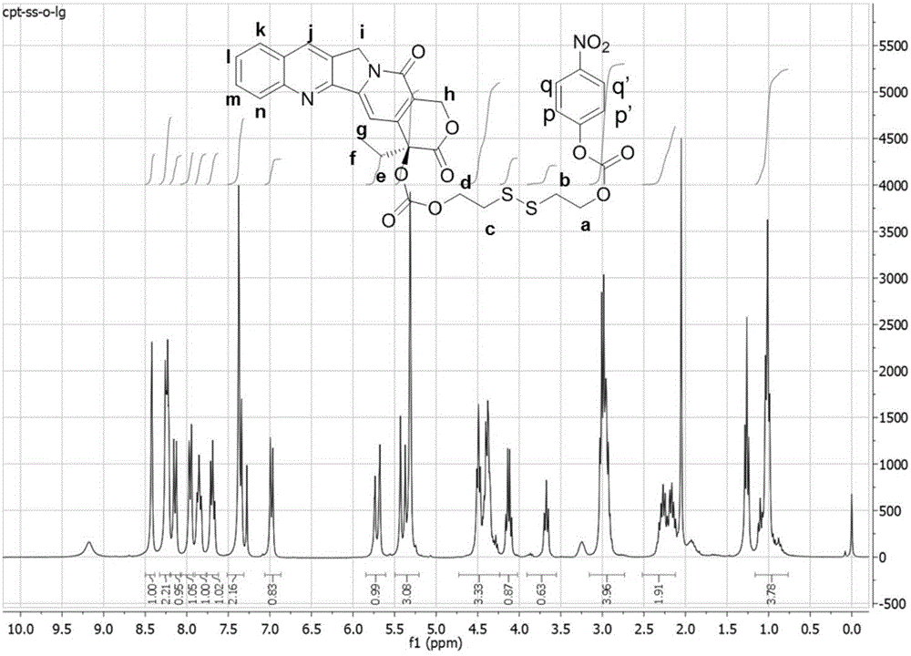 Camptothecin-adriamycin prodrug and preparation method and application thereof