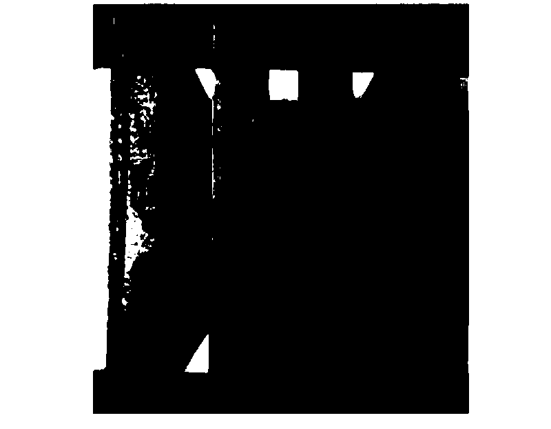 Forming method of resin matrix composite with double layers of foam sandwich structures