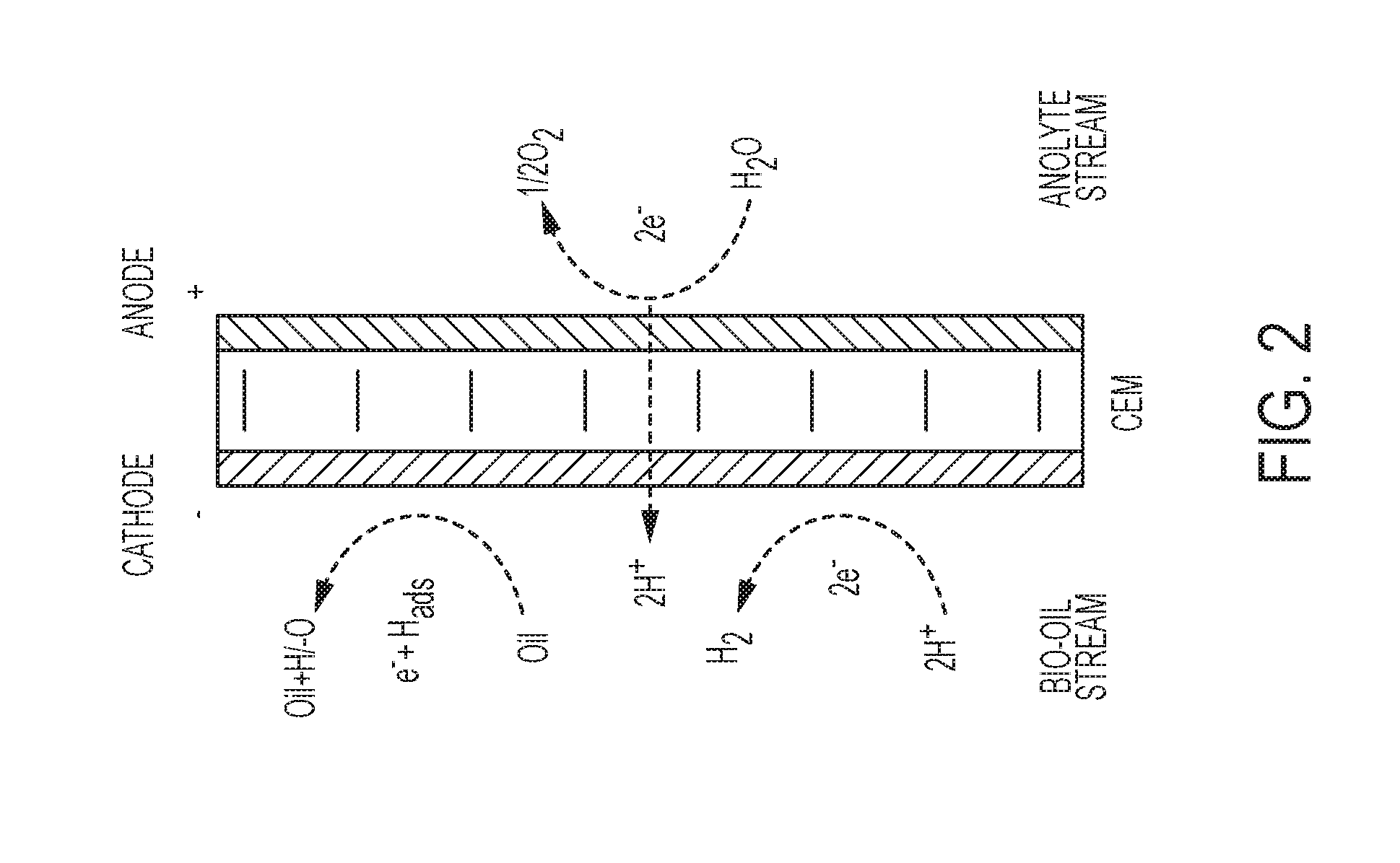 System and process for electrochemical upgrading of bio-oils and biocrudes