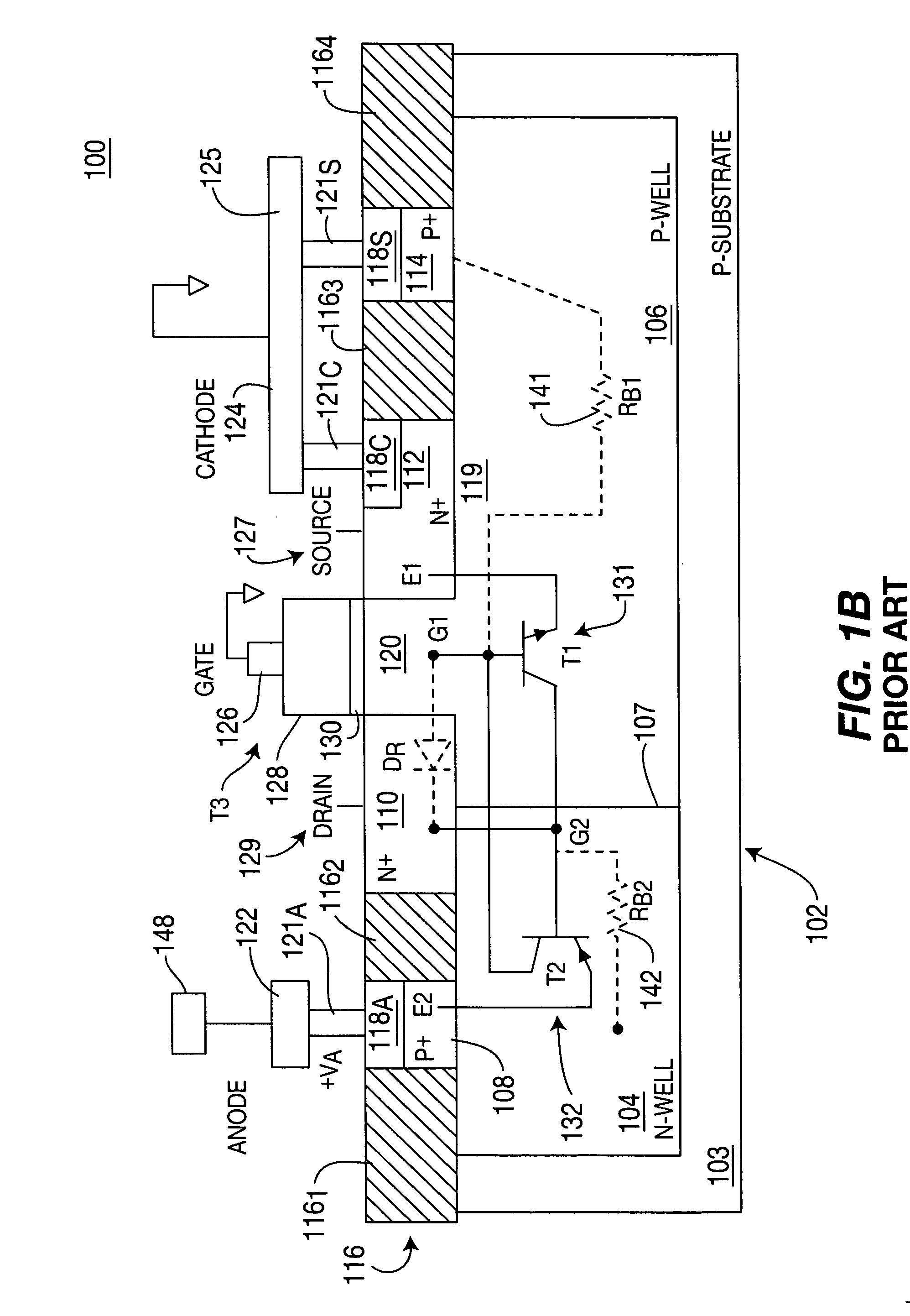 Silicon controlled rectifier electrostatic discharge protection device for power supply lines with powerdown mode of operation