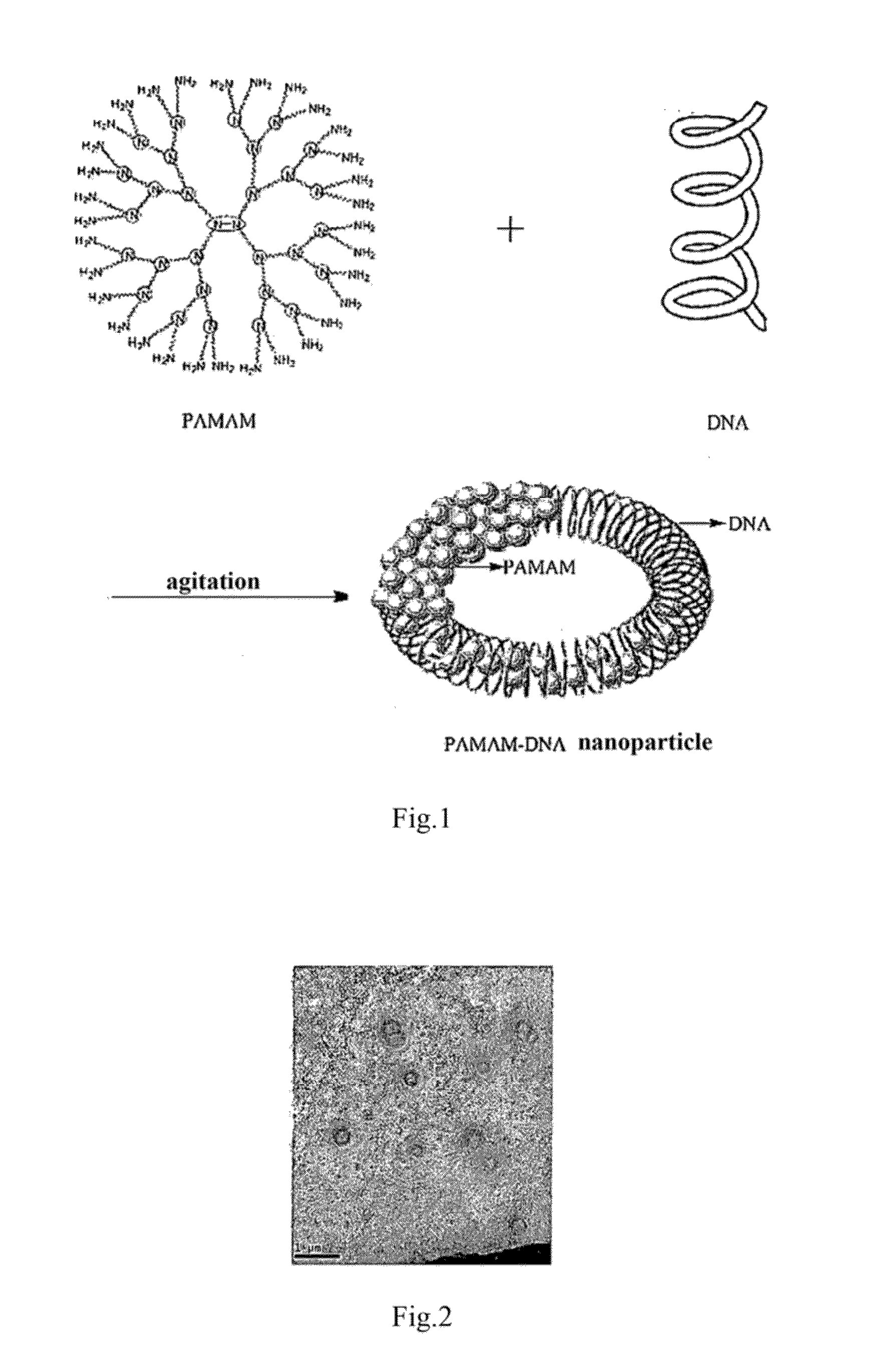 Polyamide-amine dendrimer or derivative thereof-math1 gene NANO particle and use thereof in treatment of hearing loss