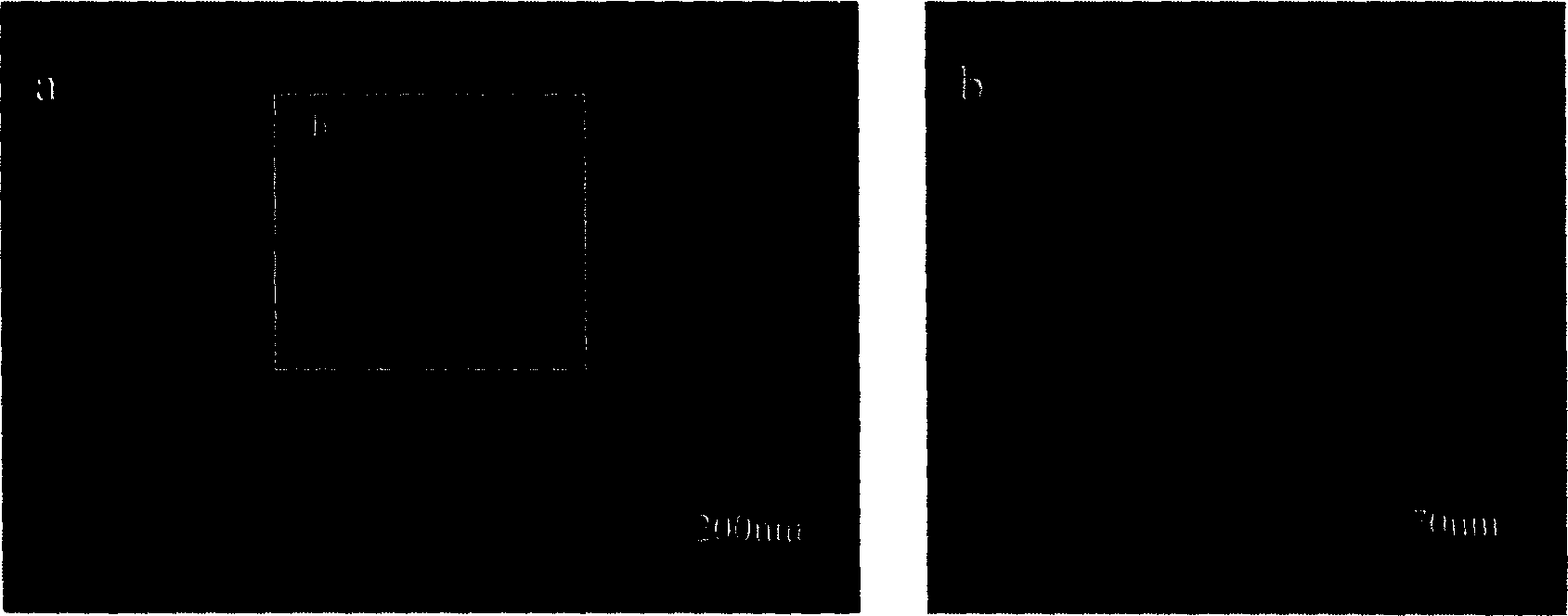 Process for preparing rutile phase titanium dioxide nano-powder