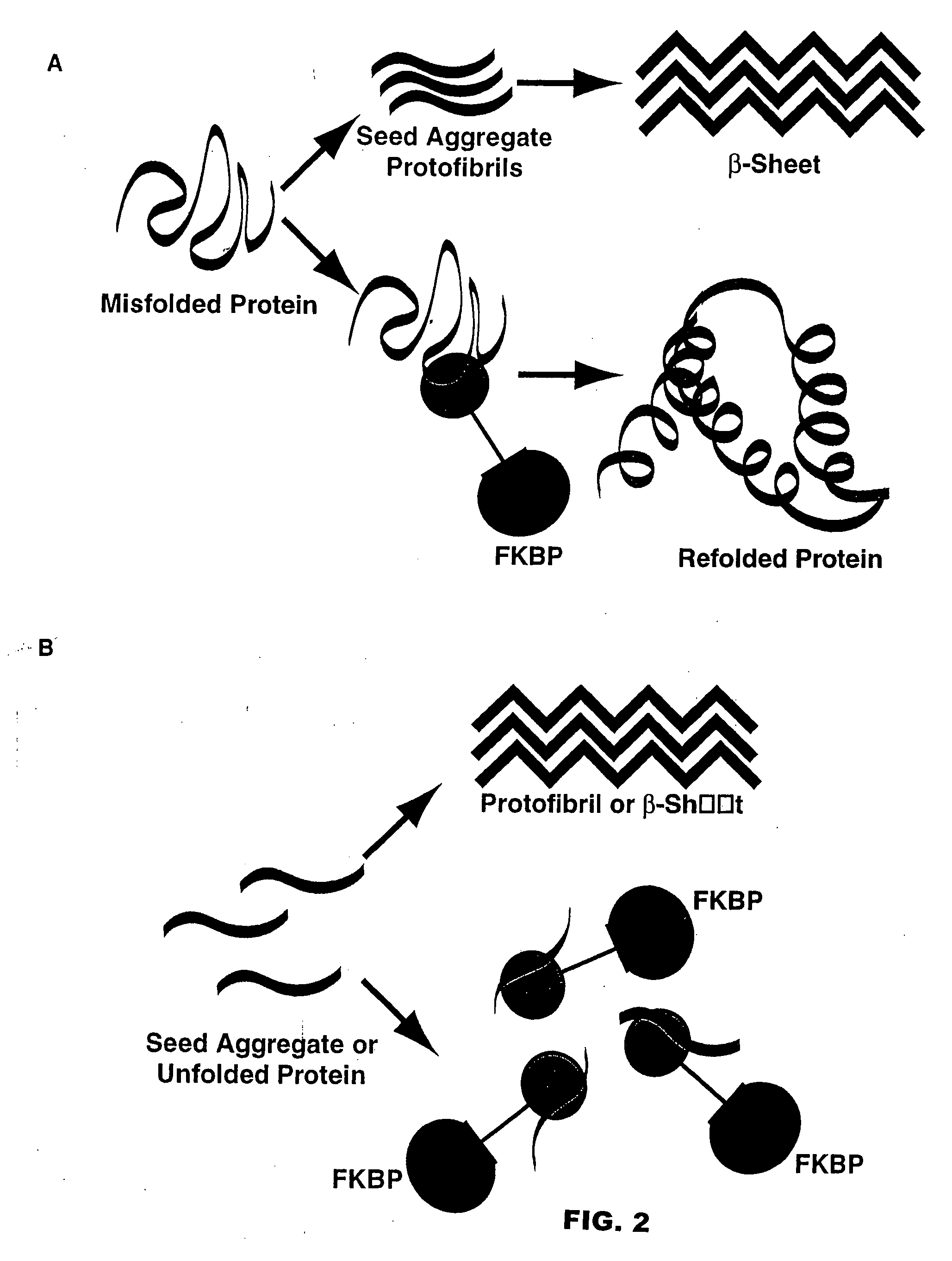 Neurodegenerative protein aggregation inhibition methods and compounds