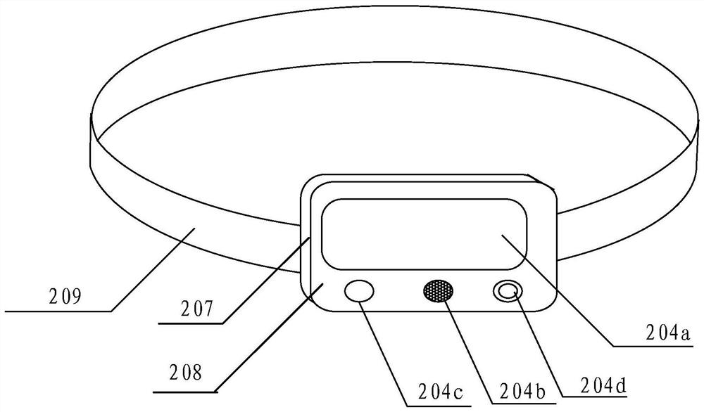 Auxiliary alarm device, system and method