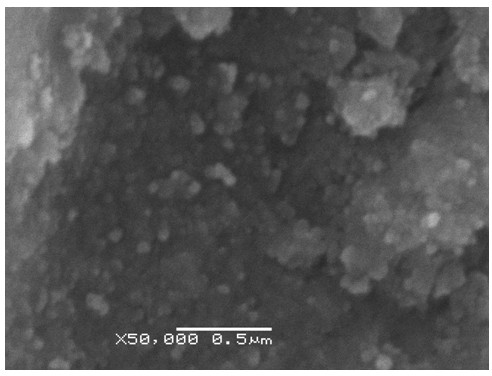 Method for preparing nano titanium dioxide by sol process at low temperature