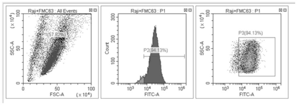 Anti-CD19 humanized antibody and preparation method and application thereof