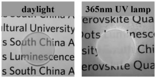 CsPbBr3 (cesium-lead-bromide) perovskite quantum dot fluorescent glass for display of wide color gamut and preparation method and application thereof