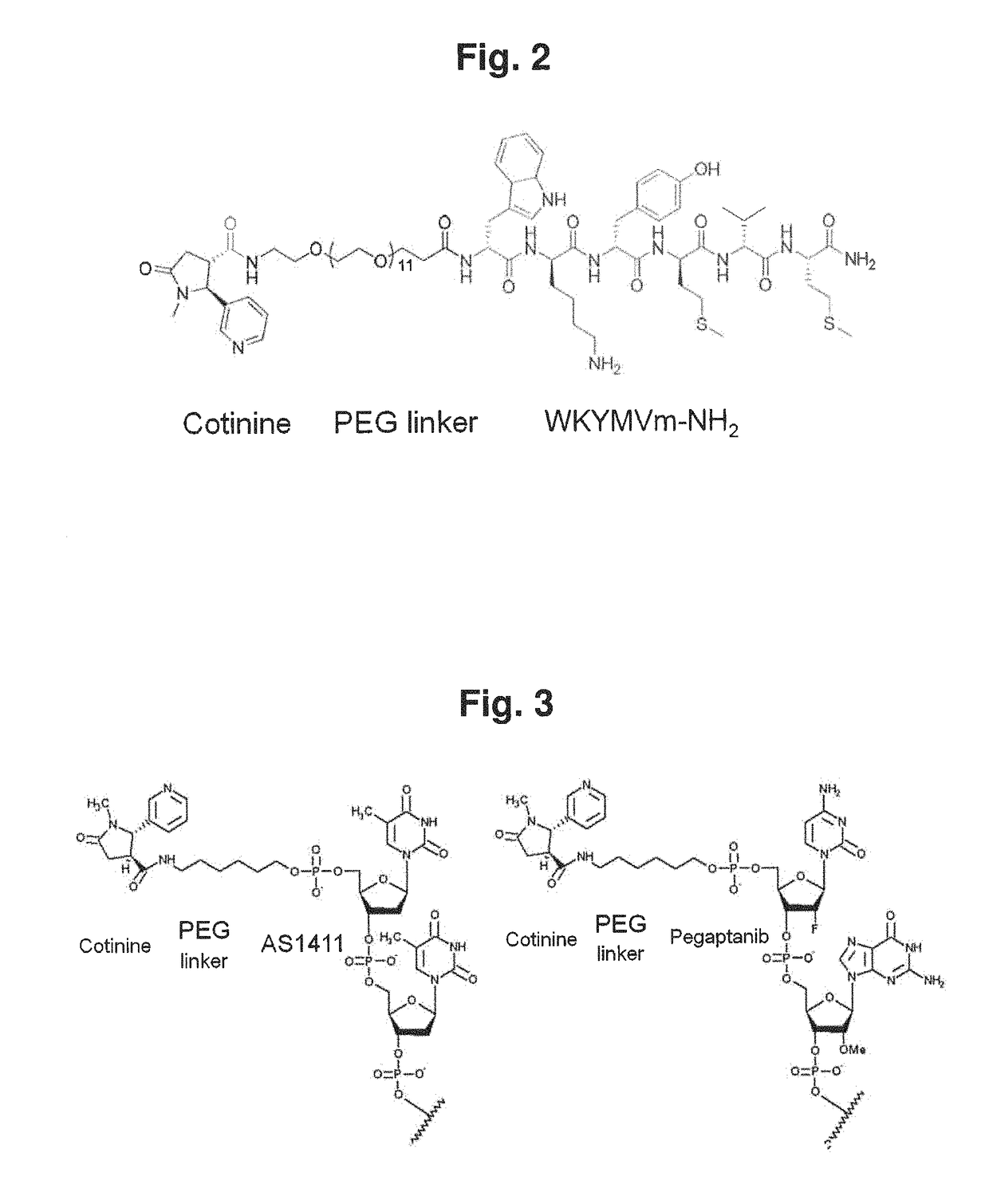 Complex in which anti-cotinine antibody is bound to conjugate of cotinine and binding substance, and use thereof