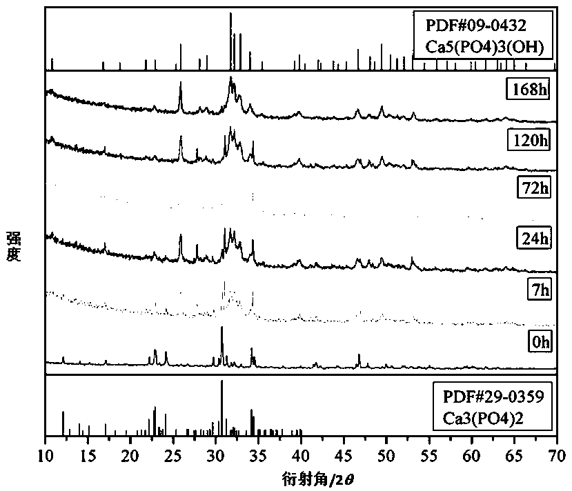 Fluorescent tracing method of Alpha-tricalcium phosphate hydration process