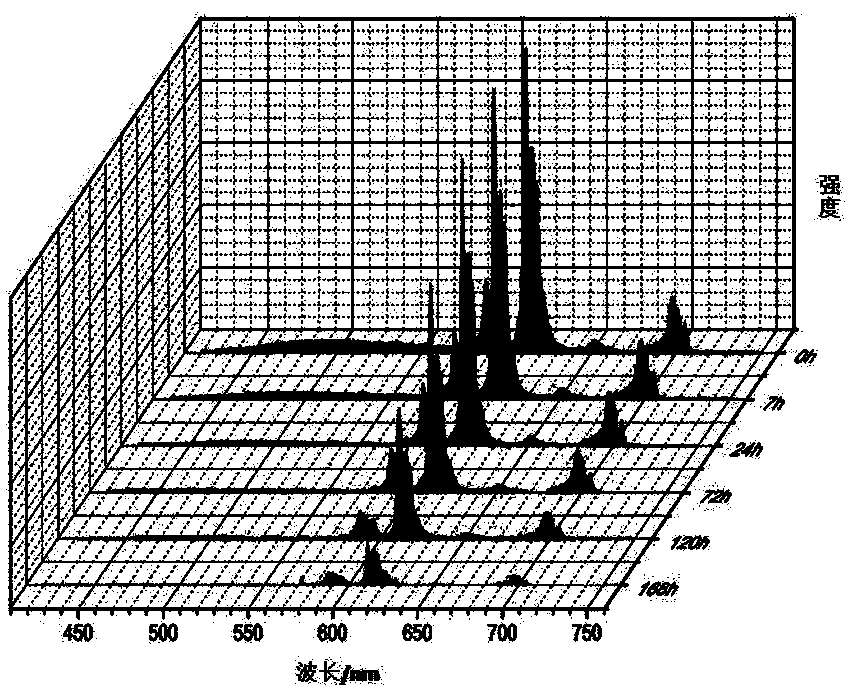 Fluorescent tracing method of Alpha-tricalcium phosphate hydration process