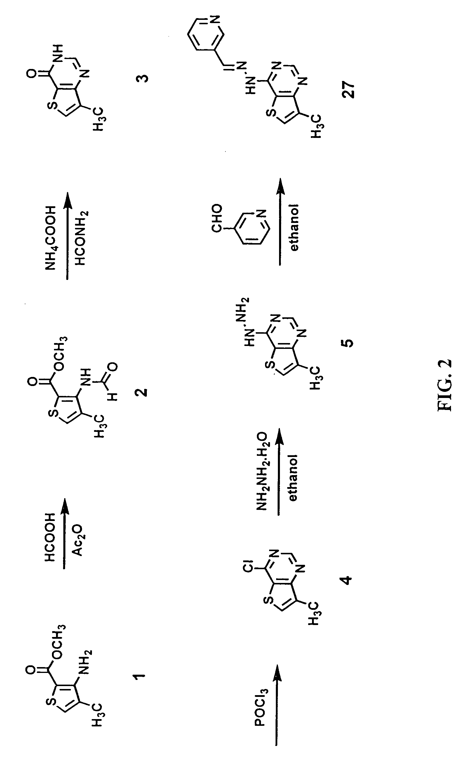 Thienopyrimidine-based inhibitors of the src family