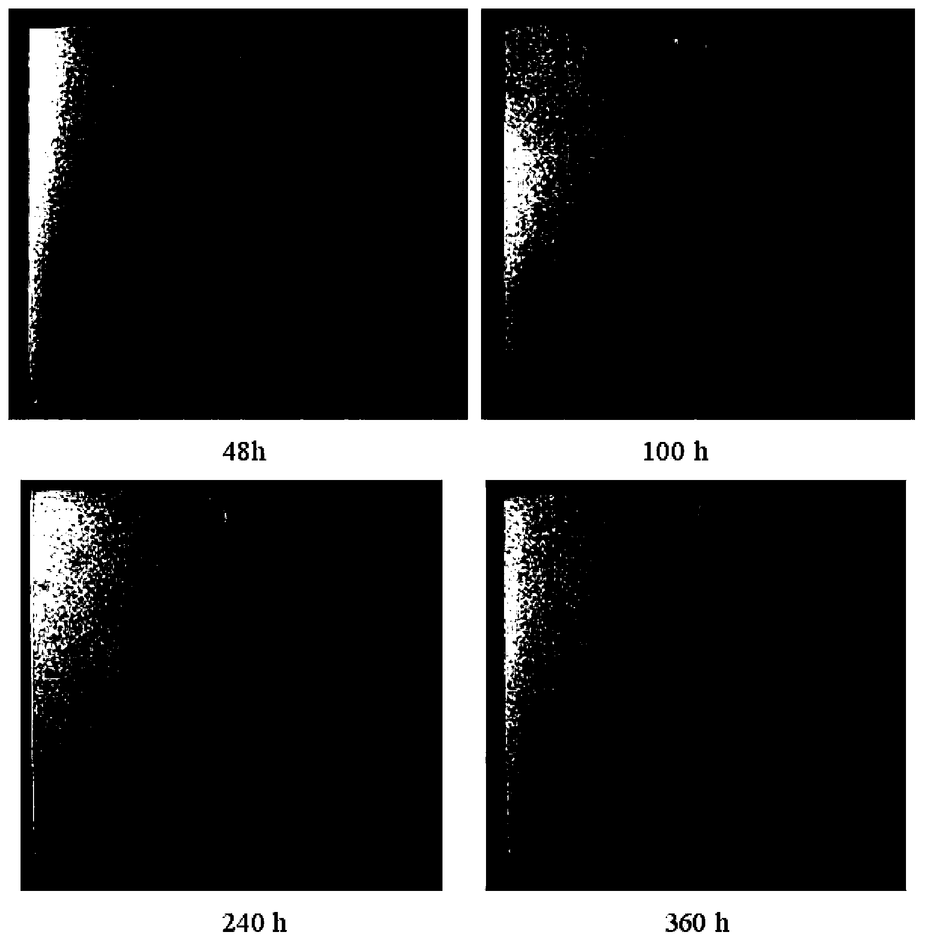 Preparation method of magnesium alloy surface micro-arc oxidized nano self-assembling composite protective coating